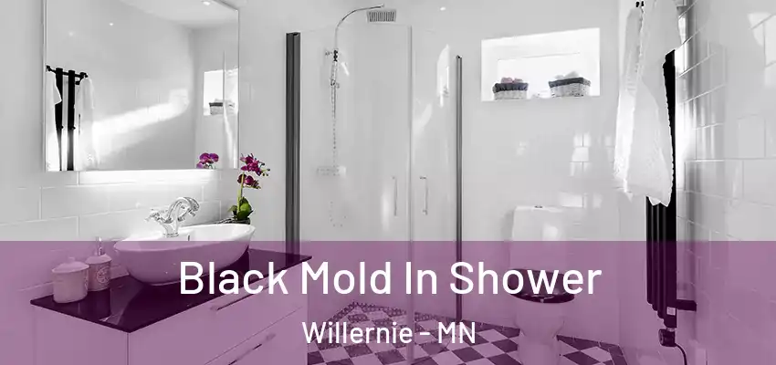  Black Mold In Shower Willernie - MN