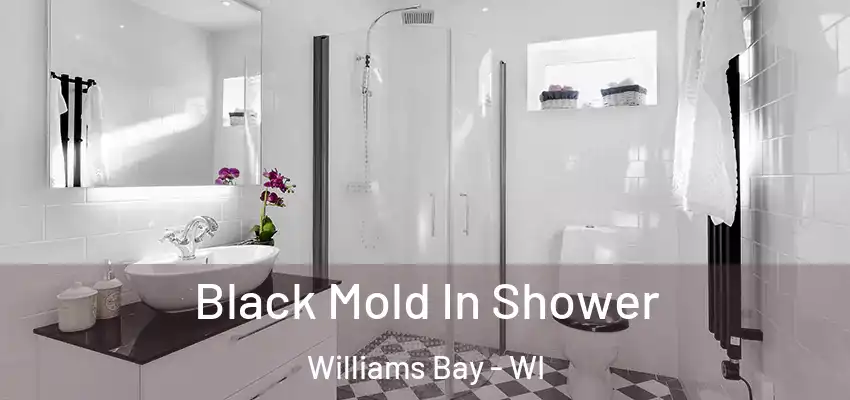  Black Mold In Shower Williams Bay - WI