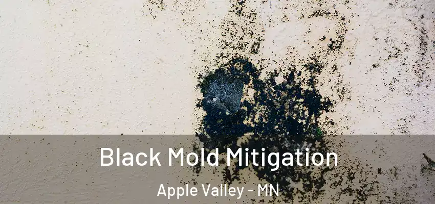  Black Mold Mitigation Apple Valley - MN