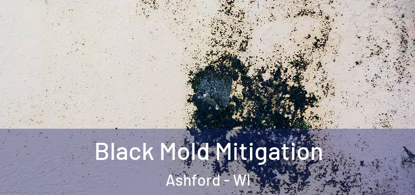  Black Mold Mitigation Ashford - WI