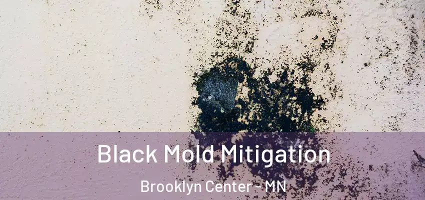  Black Mold Mitigation Brooklyn Center - MN