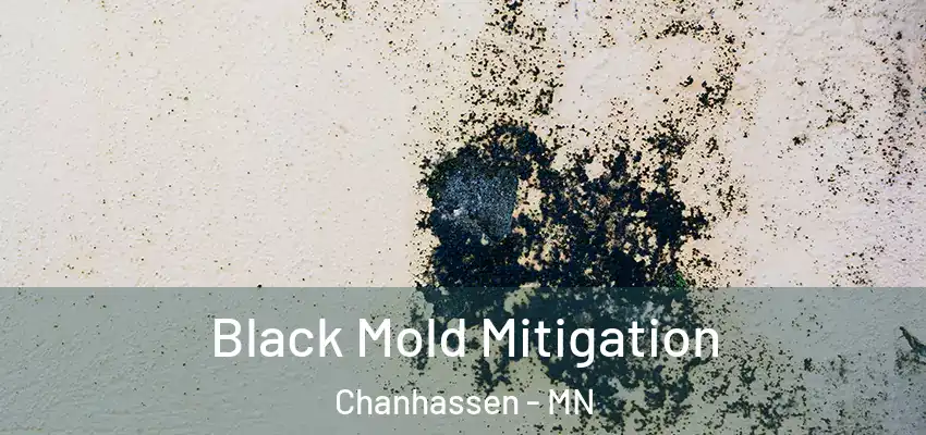  Black Mold Mitigation Chanhassen - MN