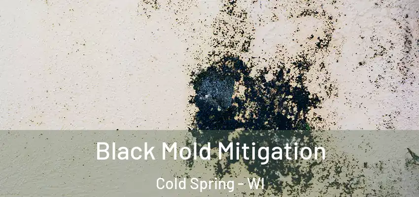  Black Mold Mitigation Cold Spring - WI