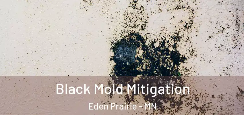  Black Mold Mitigation Eden Prairie - MN