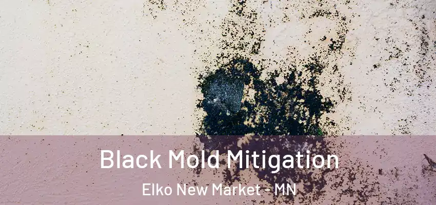  Black Mold Mitigation Elko New Market - MN