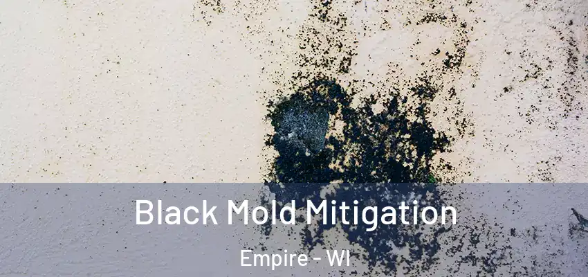 Black Mold Mitigation Empire - WI
