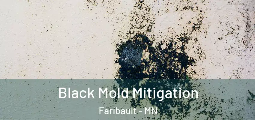  Black Mold Mitigation Faribault - MN