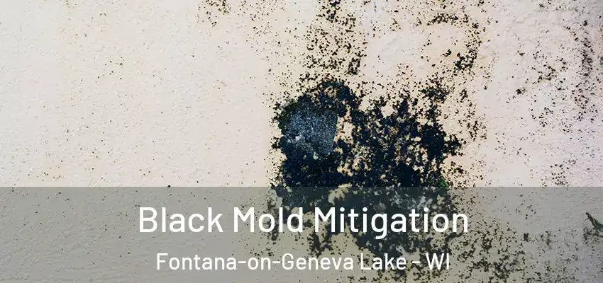  Black Mold Mitigation Fontana-on-Geneva Lake - WI