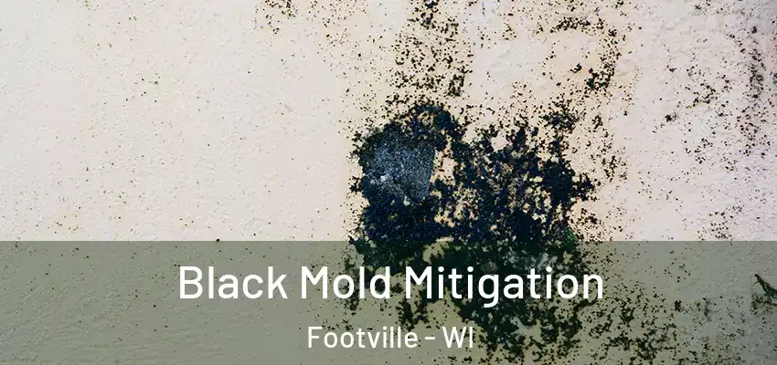  Black Mold Mitigation Footville - WI
