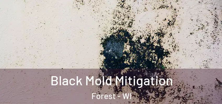  Black Mold Mitigation Forest - WI