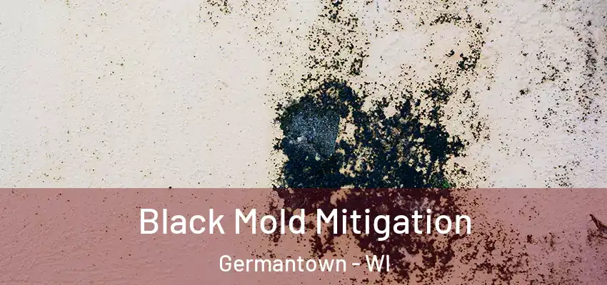  Black Mold Mitigation Germantown - WI