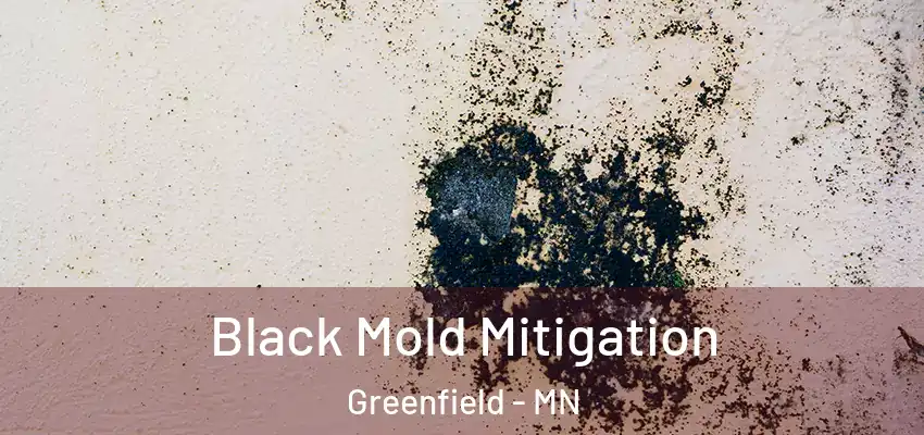 Black Mold Mitigation Greenfield - MN