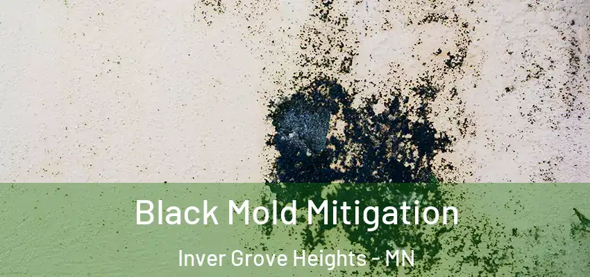  Black Mold Mitigation Inver Grove Heights - MN