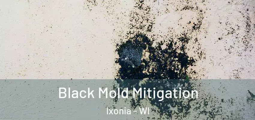 Black Mold Mitigation Ixonia - WI
