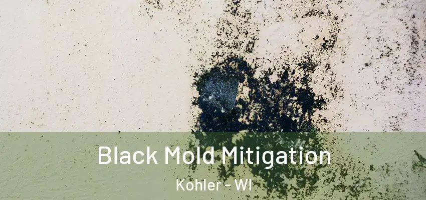 Black Mold Mitigation Kohler - WI