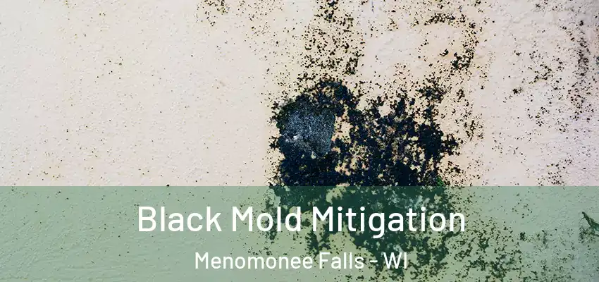 Black Mold Mitigation Menomonee Falls - WI