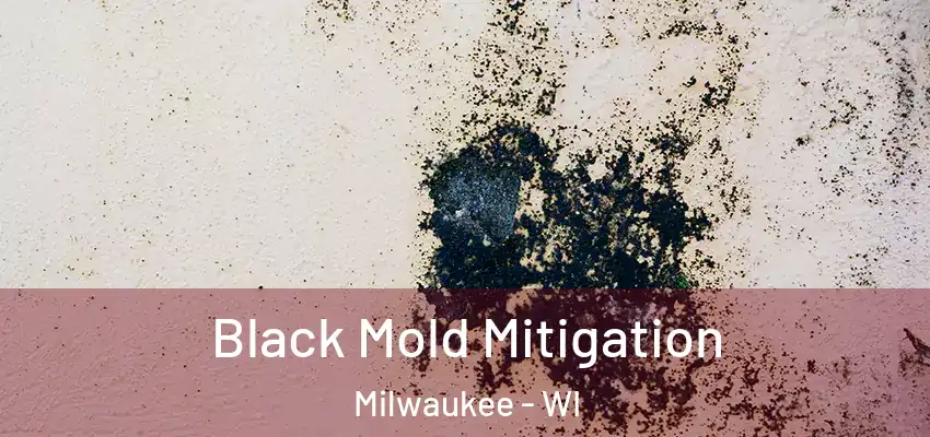 Black Mold Mitigation Milwaukee - WI