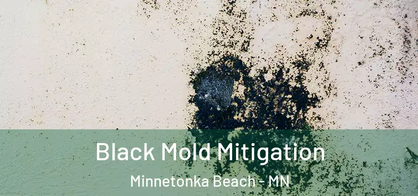  Black Mold Mitigation Minnetonka Beach - MN