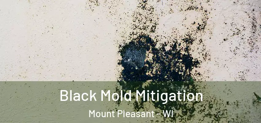 Black Mold Mitigation Mount Pleasant - WI