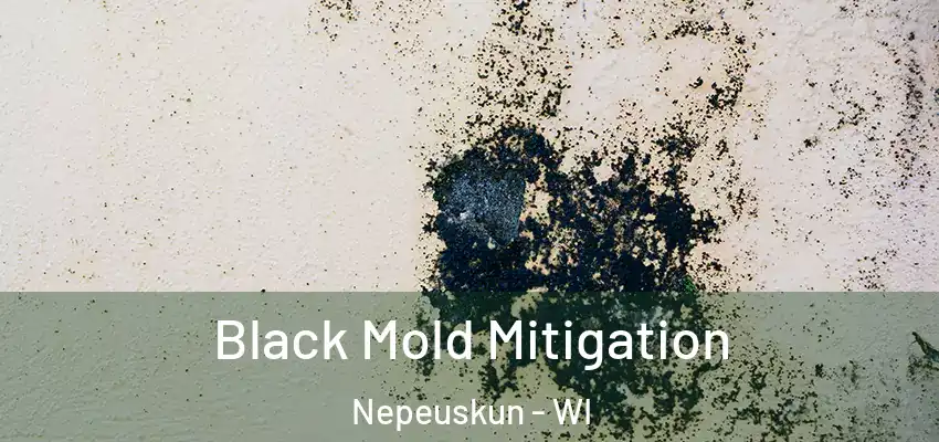  Black Mold Mitigation Nepeuskun - WI
