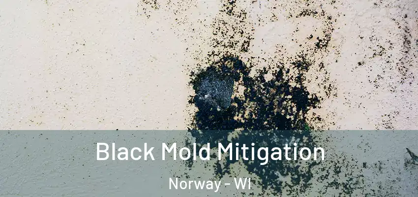 Black Mold Mitigation Norway - WI