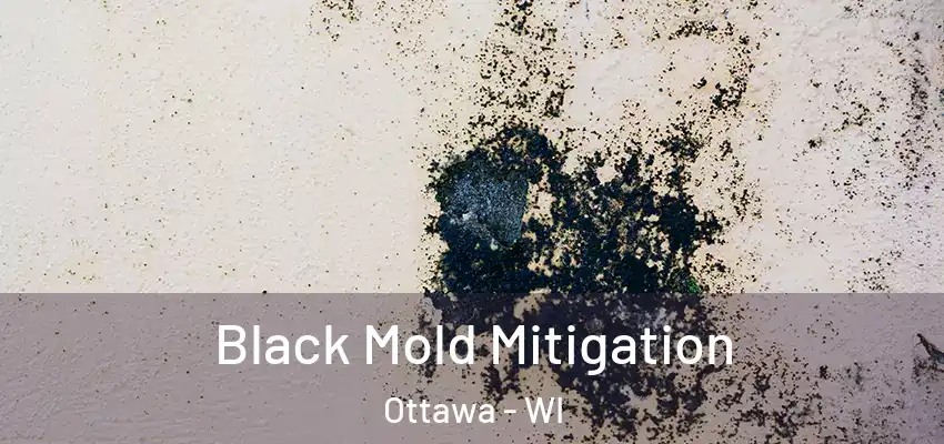 Black Mold Mitigation Ottawa - WI