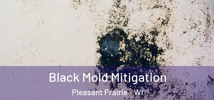  Black Mold Mitigation Pleasant Prairie - WI
