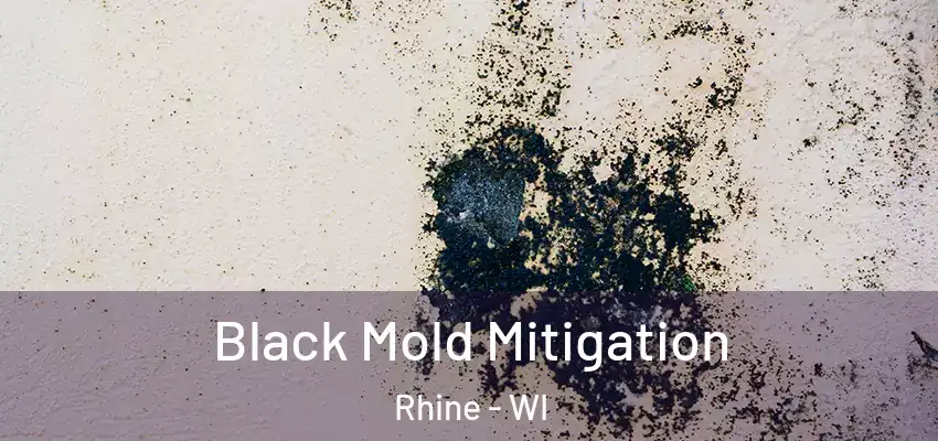 Black Mold Mitigation Rhine - WI