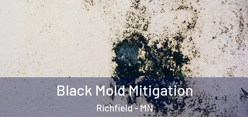 Black Mold Mitigation Richfield - MN