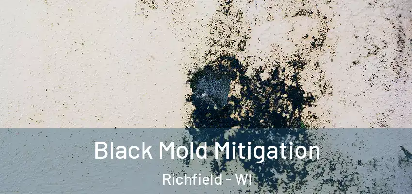Black Mold Mitigation Richfield - WI