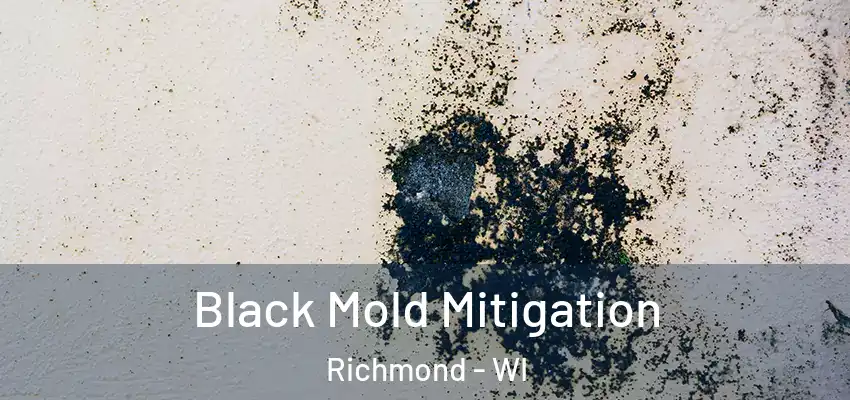  Black Mold Mitigation Richmond - WI