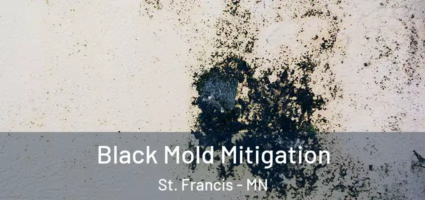  Black Mold Mitigation St. Francis - MN