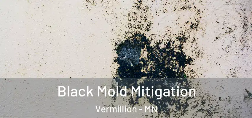 Black Mold Mitigation Vermillion - MN