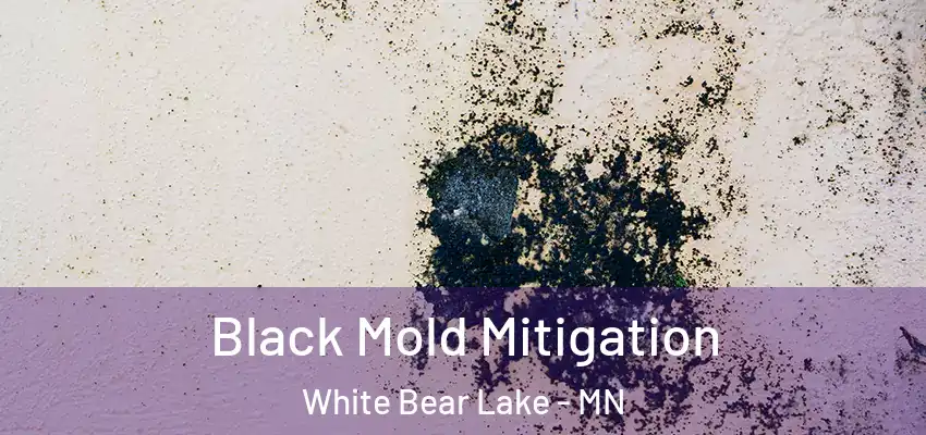  Black Mold Mitigation White Bear Lake - MN
