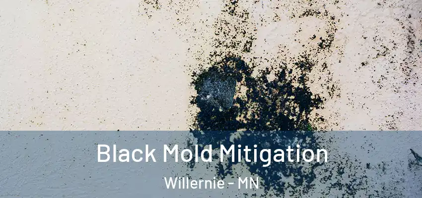 Black Mold Mitigation Willernie - MN