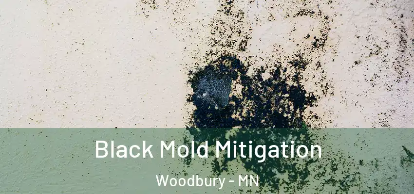  Black Mold Mitigation Woodbury - MN