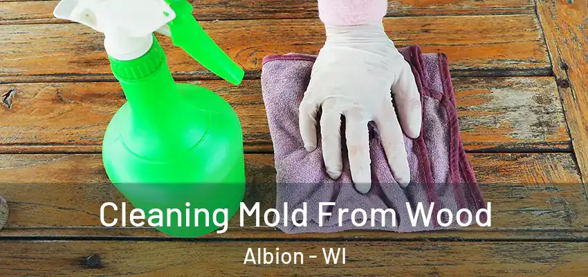  Cleaning Mold From Wood Albion - WI