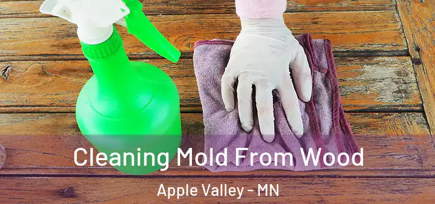 Cleaning Mold From Wood Apple Valley - MN