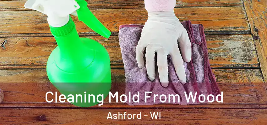  Cleaning Mold From Wood Ashford - WI