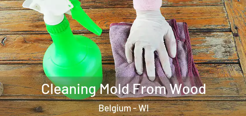  Cleaning Mold From Wood Belgium - WI
