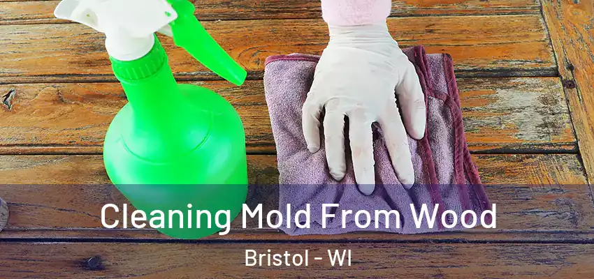  Cleaning Mold From Wood Bristol - WI