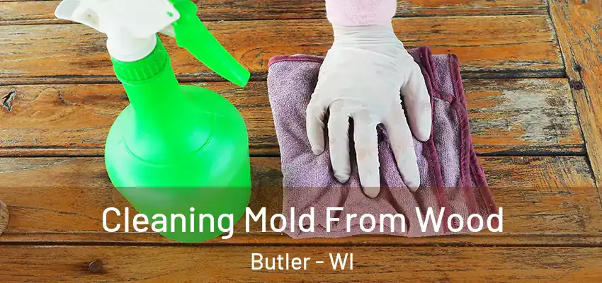  Cleaning Mold From Wood Butler - WI
