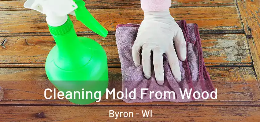 Cleaning Mold From Wood Byron - WI