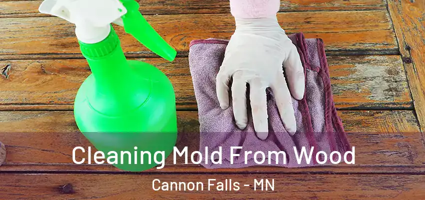  Cleaning Mold From Wood Cannon Falls - MN