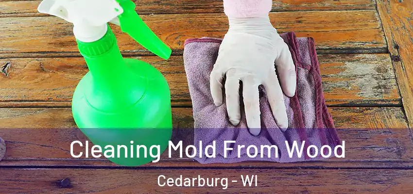  Cleaning Mold From Wood Cedarburg - WI