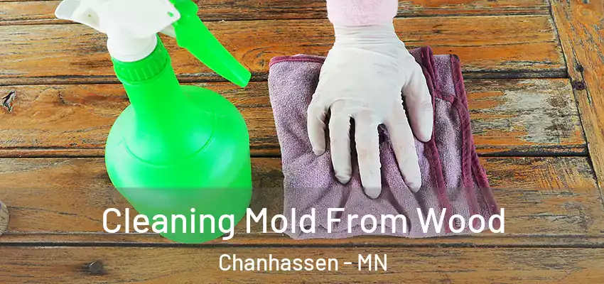 Cleaning Mold From Wood Chanhassen - MN