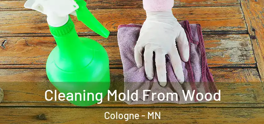  Cleaning Mold From Wood Cologne - MN