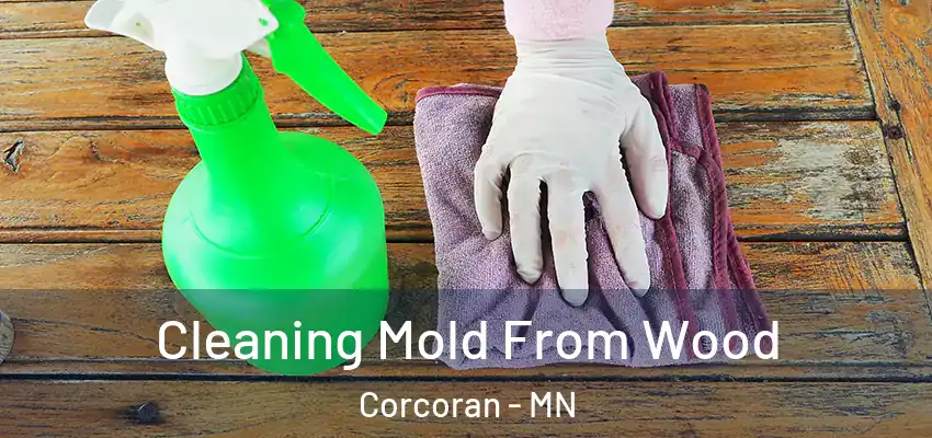  Cleaning Mold From Wood Corcoran - MN