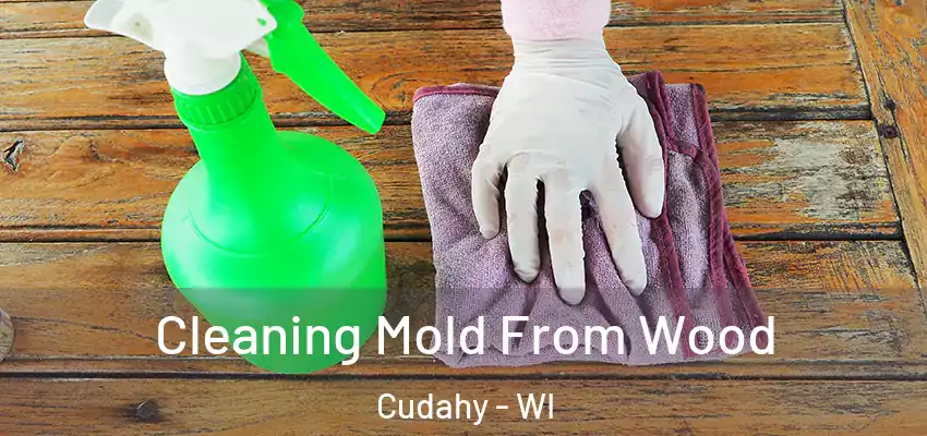  Cleaning Mold From Wood Cudahy - WI