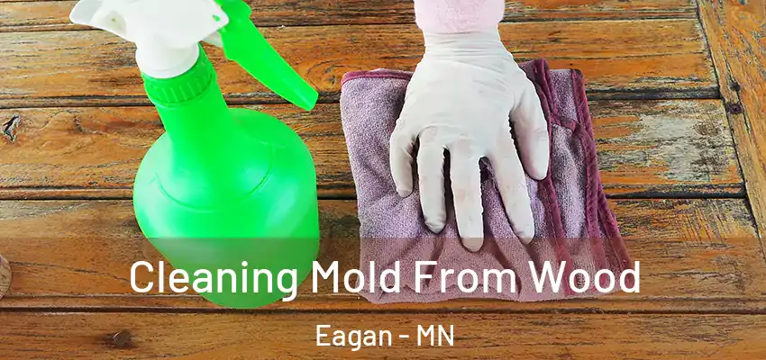 Cleaning Mold From Wood Eagan - MN
